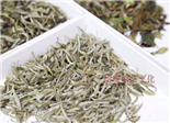 福鼎白茶，夏季最佳茶飲，清心解暑