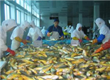 海鷗水產(chǎn)入選國家重點(diǎn)龍頭企業(yè)
