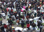 福鼎點(diǎn)頭：春茶已進(jìn)入采摘高峰期 茶青日上市交易達(dá)200余噸
