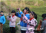 點頭鎮(zhèn)啟動“茶鄉(xiāng)特色文化進校園”活動